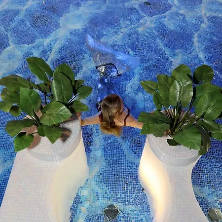 Hotel V & Conference 4*