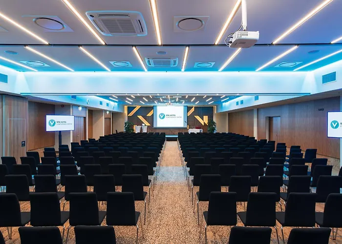 V & Conference Hotell 4*