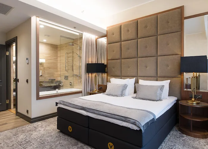 Hotel V & Conference 4*