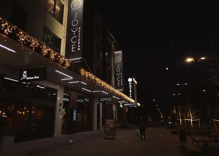 Hotel V & Conference Tartu