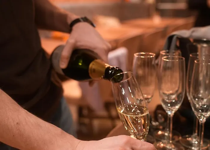 V & Conference Hotel 4*